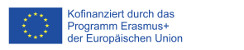 erasmus en